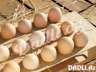 Yumurtalar uzunsov tərəfləri aşağı gələcək şəkildə bağlı bir qabda saxlanmalıdır