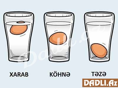 Xarab yumurtalar suyun üzərinə çıxır...