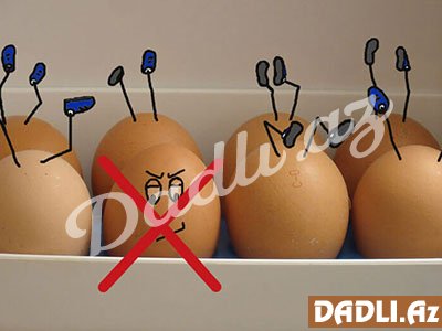 Yumurtanın saxlanılması ilə bağlı bilmədiyiniz 5 FAKT